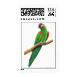 Red Fronted Macaw Postage postage