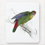 Red-Fronted Parrakeet Mousemats
