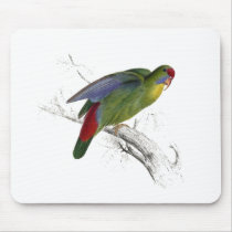 Red-Fronted Parrakeet Mouse Mats
