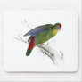 Red-Fronted Parrakeet Mouse Mats