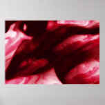 Red fruits of passion posters