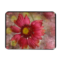 Red Gaillardia Premium Magnet