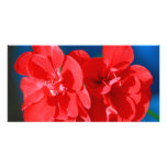 Red garden flowers photo card template
