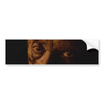 RED GAZE BUMPER STICKERS