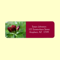 Red Gentian Flower Address Label labels
