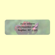 Red Gentian In Bloom Flower Address Label labels