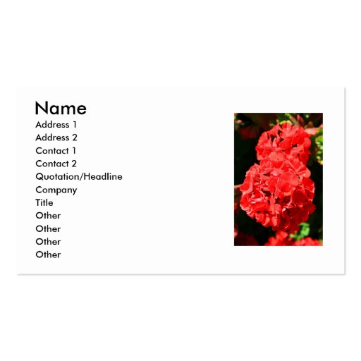 Red Geranium Flowers Business Card (front side)