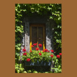 Red Geranium Window Box Print