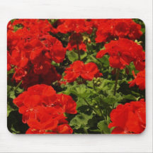 Red Geraniums Mouse Pad