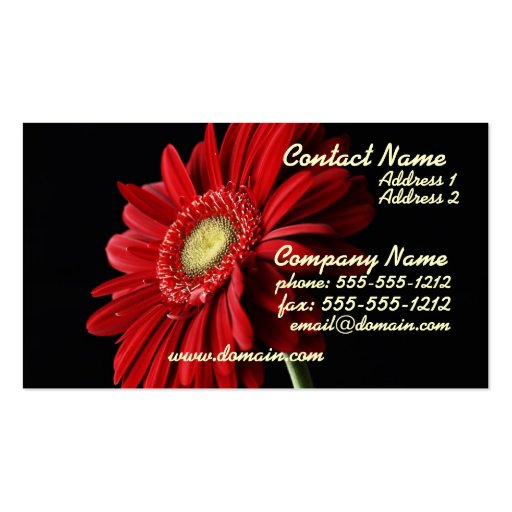 Red Gerber Daisy Business Card (front side)