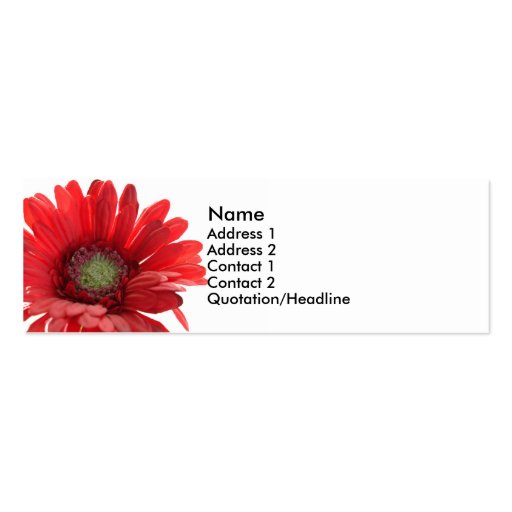 Red Gerber Daisy Contact Card Business Card Template (front side)