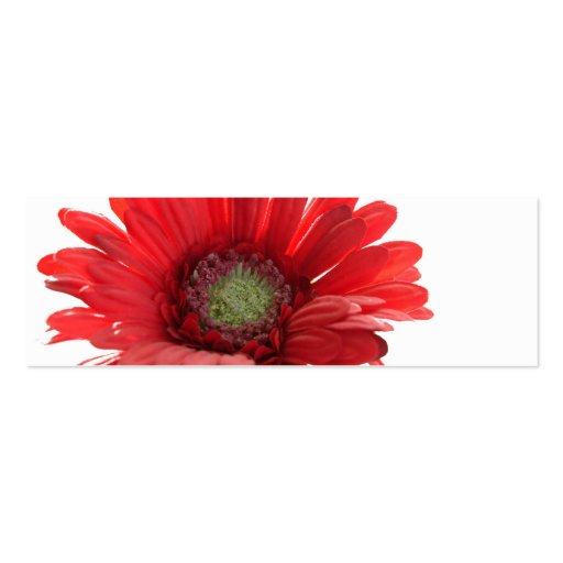 Red Gerber Daisy Contact Card Business Card Template (back side)