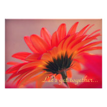 Red Gerber Daisy Photo Party Invitations