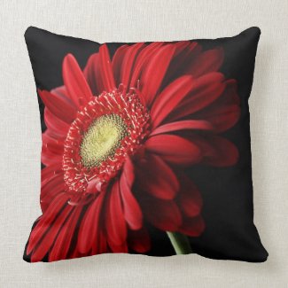 Red Gerber Daisy Pillow
