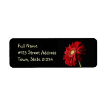 Red Gerber Daisy Return Address Label labels