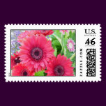 Red Gerber Daisy Stamp