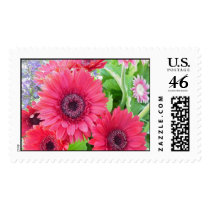 Red Gerber Daisy Stamp