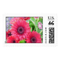 Red Gerber Daisy Stamp