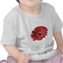 Red Gerbera baby tee t-shirts