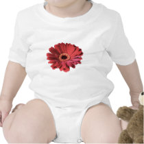 Red Gerbera baby  t-shirts