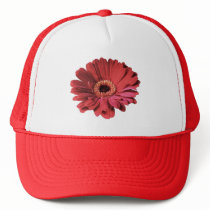 Red Gerbera cap hats