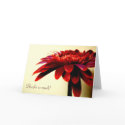 Red Gerbera Card