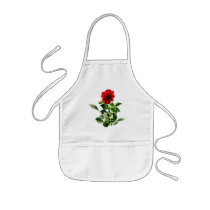 Red Gerbera Daisy aprons