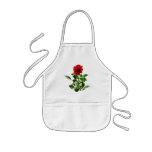 Red Gerbera Daisy aprons