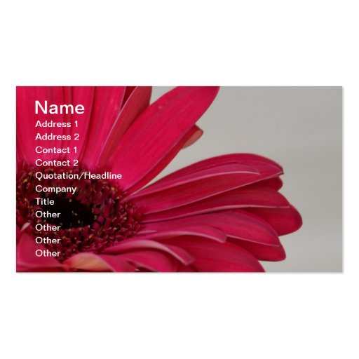 Red Gerbera Daisy Business Card (front side)