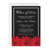 Red Gerbera Daisy Graduation Announcement