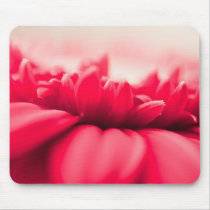 Red Gerbera Daisy mousepads