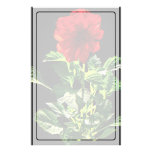 Red Gerbera Daisy Stationery