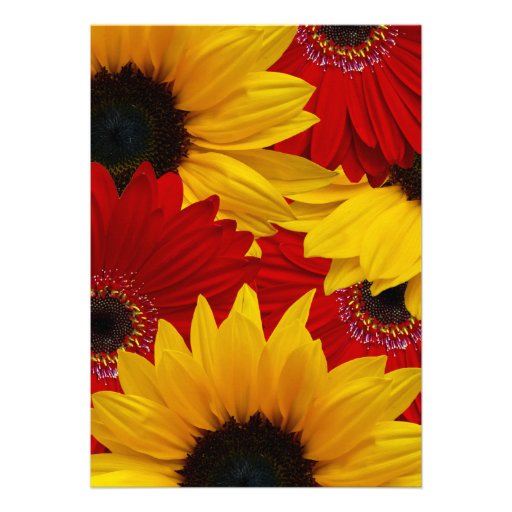 Red Gerbera Daisy Sunflower Wedding Invitation