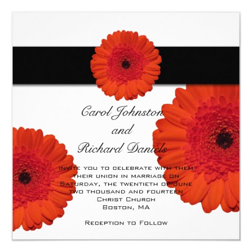 Discover Card Design Gerbera Daisy Discover Card Design Gerbera Daisy