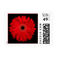 Red Gerbera Daisy Wedding Stamps