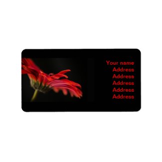Red Gerbera Flower Wedding Address Labels Custom Address Label