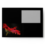 Red Gerbera Flower Wedding envelopes