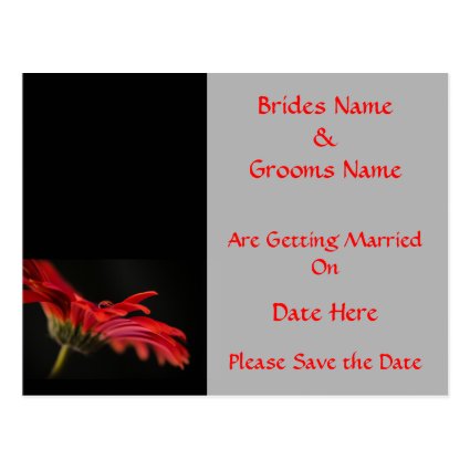 Red Gerbera Flower Wedding Save The Date Postcards