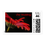 Red Gerbera Flower Wedding stamps