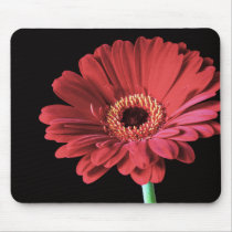 Red Gerbera mousemat mousepads