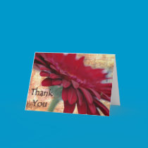 Red Gerbera Thank You cards