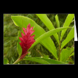 Red Ginger Flower Card