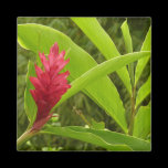 Red Ginger Flower Magnet