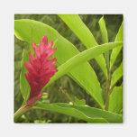 Red Ginger Flower Magnet