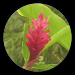 Red Ginger Flower Sticker