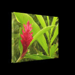 Red Ginger Flower Stretched Canvas Print