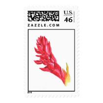 red ginger stamps