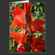 Red Gladiolas -  Love cards