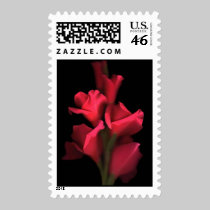 Red Gladiolas Postage Stamps stamps