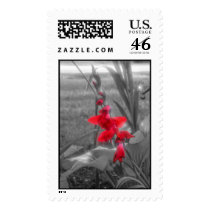 Red Gladioli postage